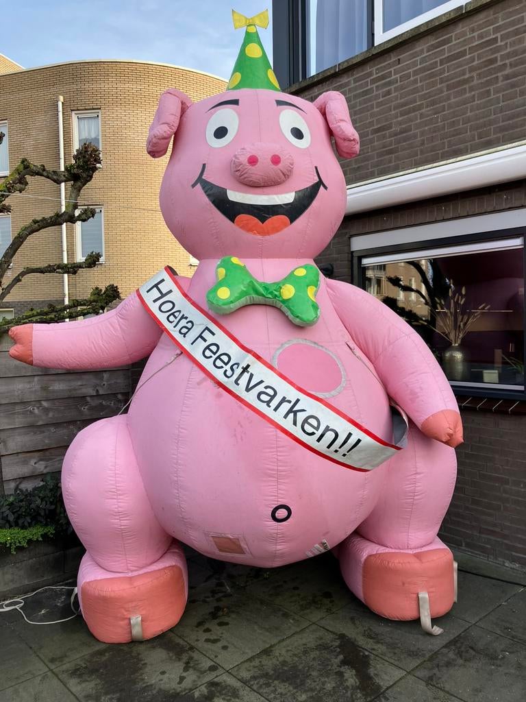 Feestvarken te huur / huren alle leeftijden, Ophalen, Zo goed als nieuw, Abraham of Sarah