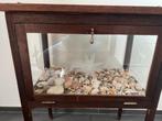 Decoratief kastje met schelpen, Ophalen, Gebruikt