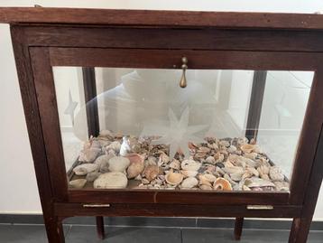Decoratief kastje met schelpen beschikbaar voor biedingen