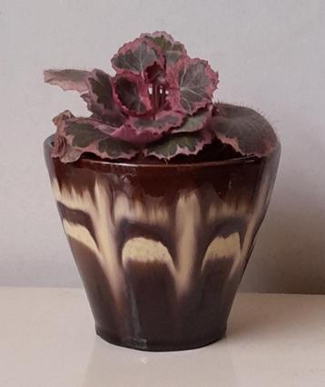 Vintage bloempot beschikbaar voor biedingen