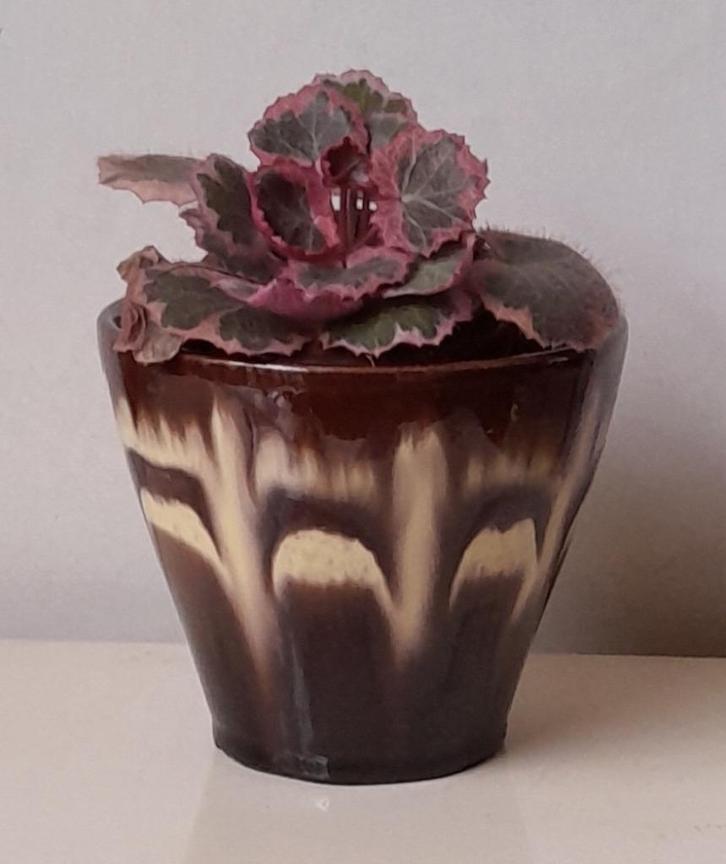 Vintage bloempot, Tuin en Terras, Bloempotten, Gebruikt, Aardewerk, Binnen, Minder dan 40 cm, Minder dan 25 cm, Rond, Ophalen of Verzenden