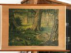 In het bos, Antiek en Kunst, Antiek | Schoolplaten, Ophalen of Verzenden, Natuur en Biologie