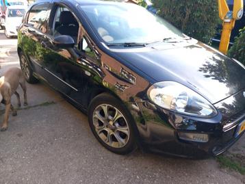 Fiat Punto 0.9 Twinair 74KW 5DR 2014 Zwart beschikbaar voor biedingen