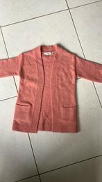 Meisjes vest c&a maat 104, C&A, Meisje, Trui of Vest, Ophalen of Verzenden