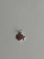 Bedeltje vis zilver, Sieraden, Tassen en Uiterlijk, Bedels, Overige merken, Nieuw, Ophalen of Verzenden, 1 bedel