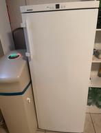 Tekoop Liebherr Nofrost 6 lades vriezer!, Witgoed en Apparatuur, Vriezers en Diepvrieskisten, Gebruikt, Energieklasse A of zuiniger