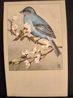 Indigovink  ansichtkaart P Sluis getekend Rein Stuurman, Verzamelen, Verzenden, Paard