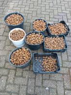 Hollandse KIWI'S 100% biologisch, Ophalen