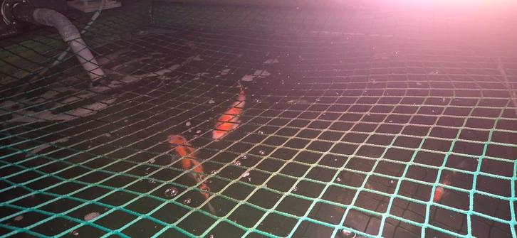 Quarantaine bak koi opgroei koi 225x150x100, Tuin en Terras, Vijver-toebehoren, Vijverfilter, Ophalen