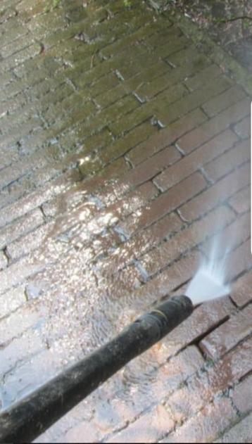 Tuin schoonmaken  beschikbaar voor biedingen