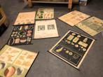 Collectie van 8 oude schoolplaten - vintage - retro, Antiek en Kunst, Ophalen of Verzenden
