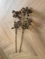 Berenklauw Kunsttak, Ophalen of Verzenden, Nieuw