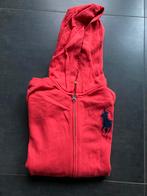 Polo Ralph Lauren hoodie. Maat: S/ rood, Ophalen of Verzenden, Zo goed als nieuw, Rood, Polo Ralph Lauren