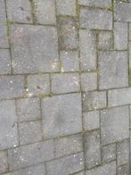 Gratis af te halen mooie dikke tuintegels, Ophalen, Beton, Terrastegels