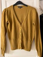 Vestje King Louie, maat L. Katoen met zijde, citroengroen., Kleding | Dames, Truien en Vesten, Maat 42/44 (L), Ophalen of Verzenden