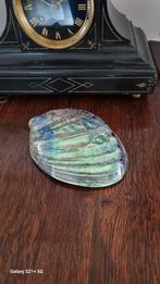 Paua schelp, Verzamelen, Ophalen of Verzenden