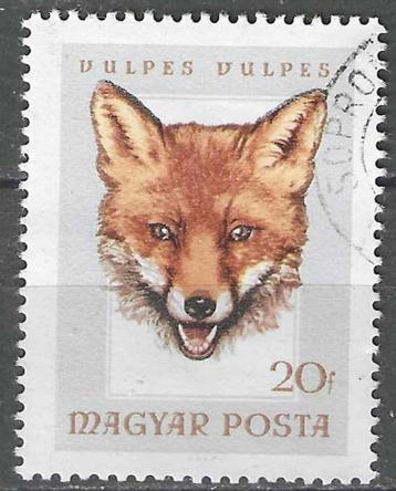 Hongarije 1966 - Yvert 1843 - Jachttrofeeen (ST) beschikbaar voor biedingen