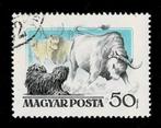 postzegel 1191 Hongarije  Puli drijfhond met stier, Ophalen of Verzenden, Gestempeld