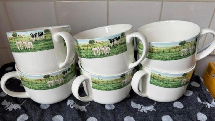 6 Wiebe van der zee kraamvisite soepkommen met oor, Huis en Inrichting, Keuken | Servies, Zo goed als nieuw, Kop(pen) en/of Schotel(s)