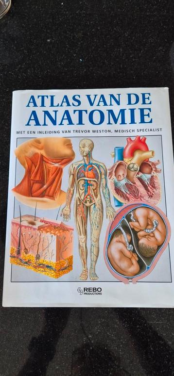 Atlas van de anatomie beschikbaar voor biedingen