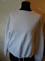 VENICE BEACH  SWEATER MAAT S, Verzenden, Wit, Overige typen, Zo goed als nieuw