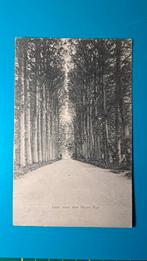 Rijs,  laan voor den Huize Rijs, Ophalen of Verzenden, Voor 1920, Ongelopen, Friesland