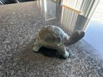 Bronzen schildpad topkwaliteit, Antiek en Kunst, Ophalen of Verzenden