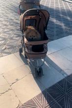 Luxe honden buggy, Ophalen of Verzenden, Zo goed als nieuw