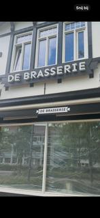 Lichtbak, Ophalen, Gebruikt, Lichtbak of (neon) lamp