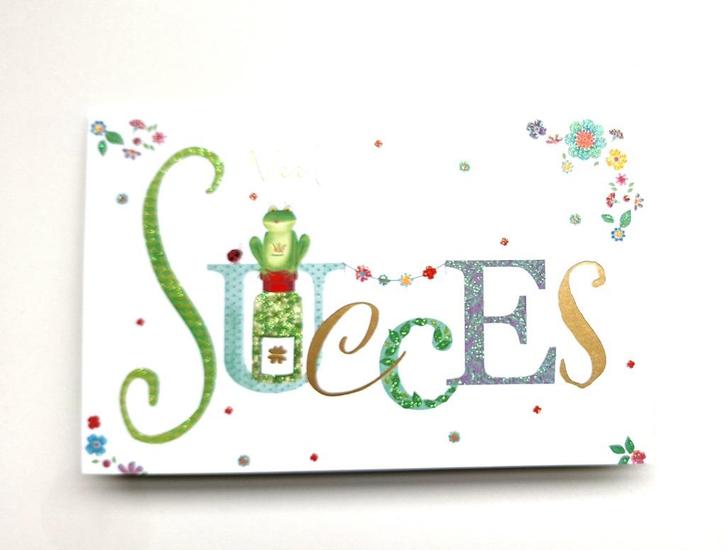 Wenskaart Succes incl. envelop Hallmark + 2x kaart gratis, Diversen, Wenskaarten, Nieuw, Ophalen of Verzenden