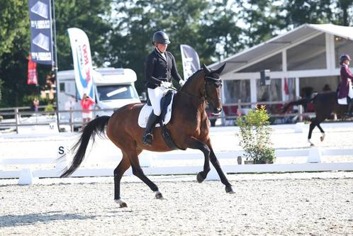 Lichte toer en grondwerk instructrice, Diensten en Vakmensen, Dieren | Paarden | Verzorging, Oppas en Les