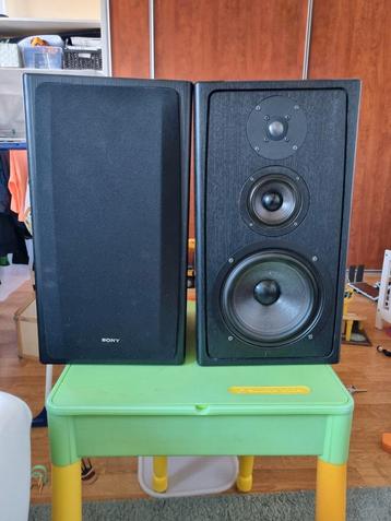 Sony ss b5 ES MOD!  beschikbaar voor biedingen