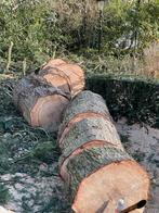 Haardhout blokken gezaagd vers stookhout haardhout, 6 m³ of meer, Ophalen, Overige houtsoorten, Blokken