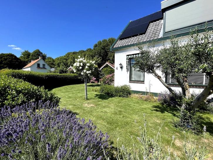 Te koop Zonnescreen (Electrisch) met knop, Tuin en Terras, Zonneschermen, Gebruikt, Screen, Minder dan 150 cm, Minder dan 250 cm