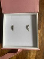 Sparkling Bold Fuse Creolen Small, Sieraden, Tassen en Uiterlijk, Oorbellen, Ophalen of Verzenden, Nieuw, Zilver, Knopjes of Stekers