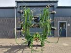 Krone KW 8.82 Schudder, Overige, Oogstmachine