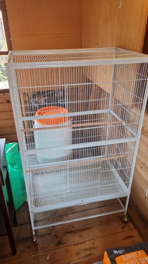 Vogelkooi op wielen, met voerbakken en bad, Dieren en Toebehoren, Vogels | Hokken en Kooien, Zo goed als nieuw, Vogelkooi, Metaal