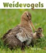 Weidevogels. Astrid Kant, Boeken, Ophalen of Verzenden, Zo goed als nieuw, Vogels