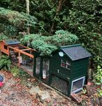 Oppasadres voor uw konijn als u op vakantie bent!, Dieren en Toebehoren, Knaagdieren en Konijnen | Hokken en Kooien, Minder dan 60 cm