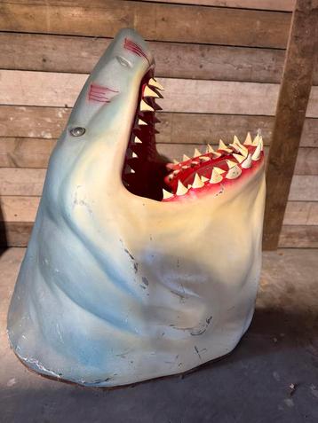 XXXL Haaienkop - Eyecatcher voor Mancave! beschikbaar voor biedingen
