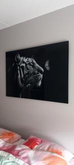 xclusso plexiglas, Antiek en Kunst, Ophalen of Verzenden