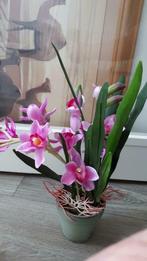 kunst orchidee, Binnen, Ophalen of Verzenden, Zo goed als nieuw