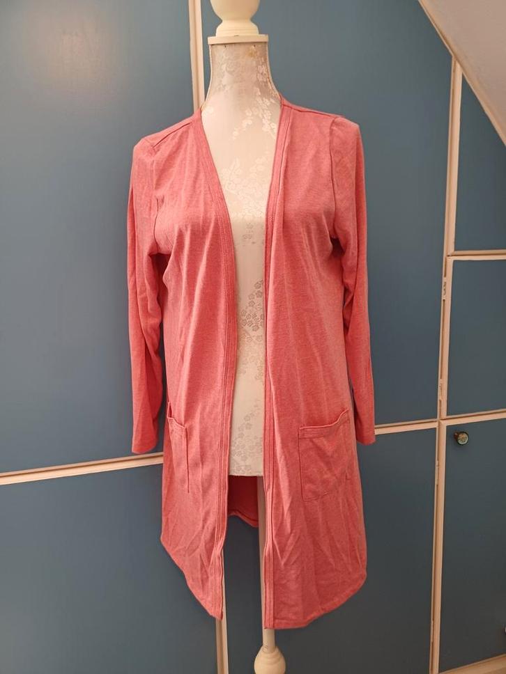 Vest van Dreamstar, maat XL, Kleding | Dames, Truien en Vesten, Gedragen, Maat 46/48 (XL) of groter, Ophalen of Verzenden