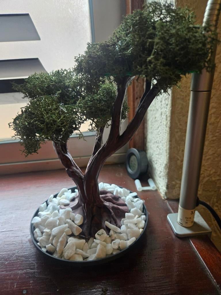 Handgemaakte Bonsai Boompjes met Mos en Stenen, Ophalen of Verzenden, Halfschaduw, Minder dan 100 cm