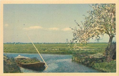 (388-478-013) Nederland, Verzamelen, Ansichtkaarten | Nederland, Verzenden