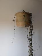 Vintage Ciro Wandpot - Perfecte Staat!, Balkon, Rond, Ophalen of Verzenden, Zo goed als nieuw