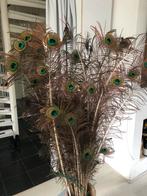 Pauwenveren, verschillende lengtes, Ophalen, Zo goed als nieuw