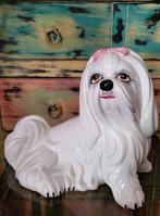 Italiaans beeld/Malteser/Shi tszu/Hond/Bassano, Ophalen of Verzenden