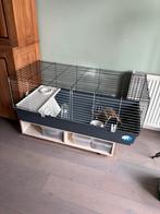 Ferplast konijnen/cavia hok, Dieren en Toebehoren, Cavia, Hok, Ophalen, Minder dan 60 cm