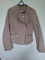 Echt suède bikerjack kleur beige maat S, Beige, Ophalen of Verzenden, Jasje, Maat 36 (S)